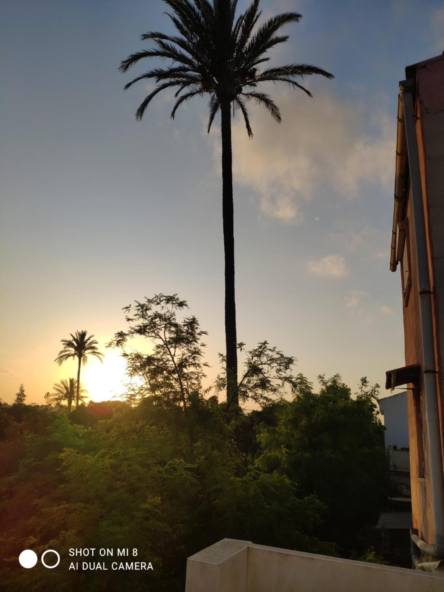 Apartamento En Alicante La Casa Azul Santa Faz Екстериор снимка